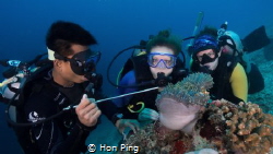 Finding Nemo @ Mataking Island, Malaysia. by Hon Ping 